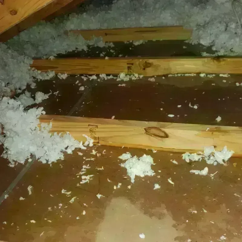 Attic Water Damage in Edison, NJ