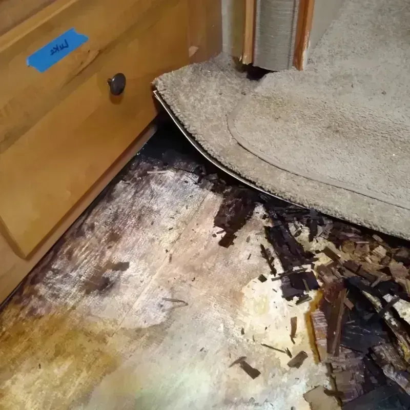 Wood Floor Water Damage in Edison, NJ